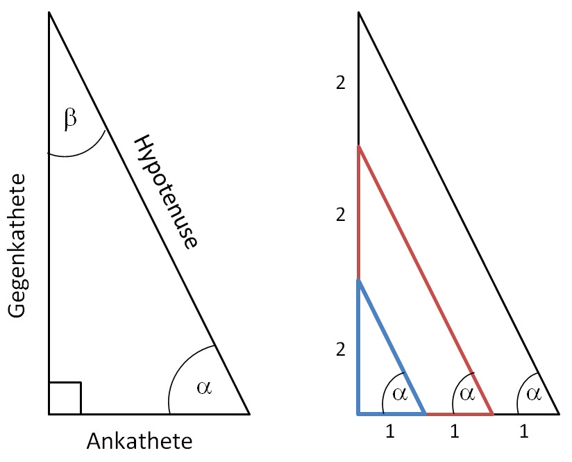 Trigonometrie - Rechtwinklige Dreiecke berechnen 