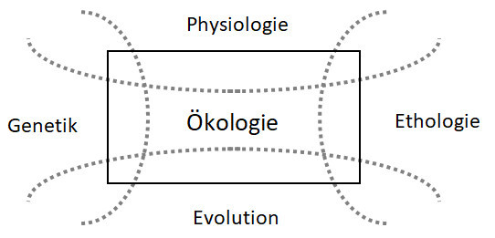 Ökologie Definition